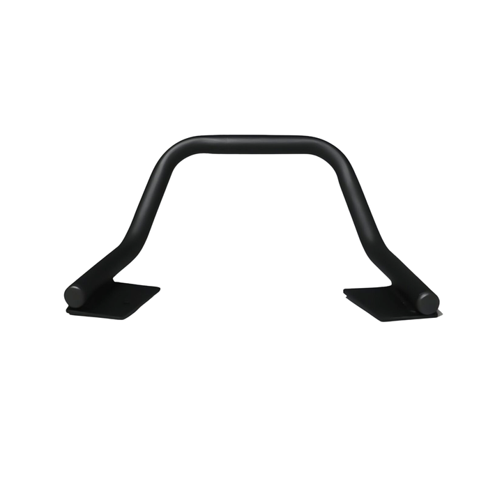 TVS Orbiter Heavy Metal Grabhandle Backrest